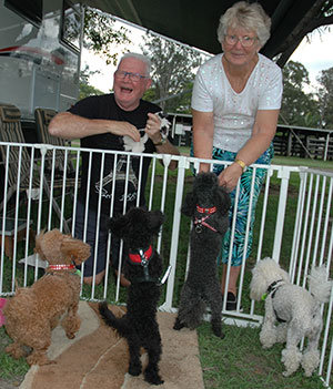 Bob and Jeanette with their toy poodle travelling companions
