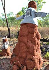 Dressed up termite mound in Australia