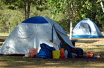 Tents at Wyllie Park